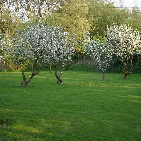 Domaine De La Ronville